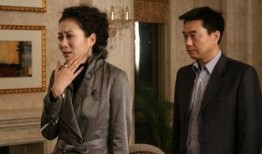 明星危情爆料视频大全,明星危情视频大揭秘