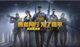 和平精英爆料壮哥视频,揭秘游戏新动态与精彩瞬间