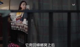 漂亮姐姐爆料小孩子视频,漂亮姐姐曝光萌娃视频，萌态可掬萌翻网友